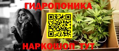 2c-b Кинель
