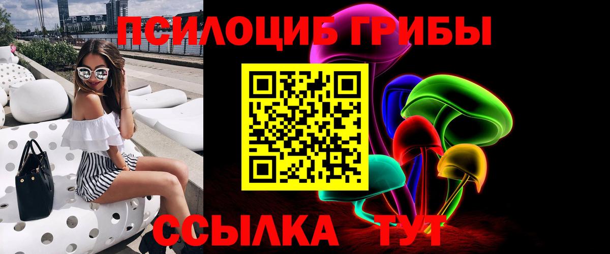 Псилоцибиновые грибы Cubensis Нефтеюганск